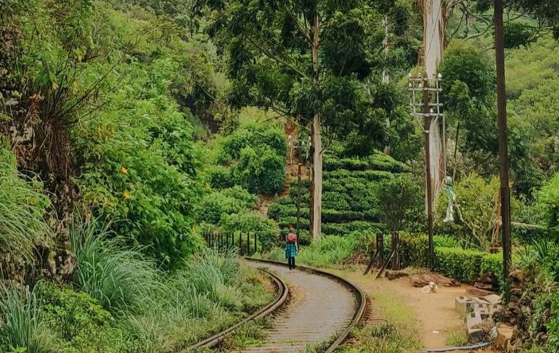 Around the World and Back Home: A Sri Lankan Hotelier’s Journey Through Global Hospitality