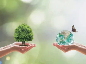 Sustainable Wellness