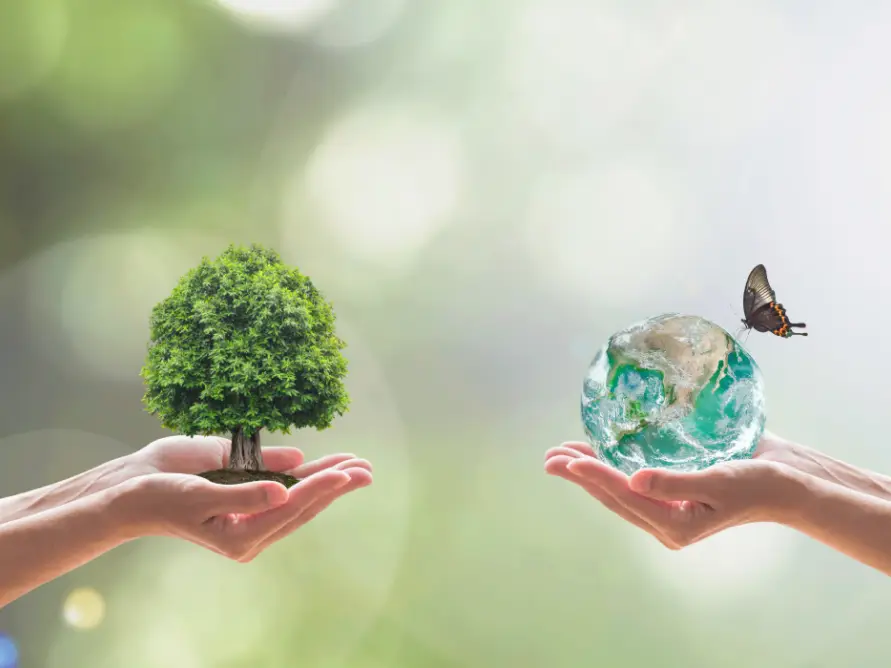 Sustainable Wellness
