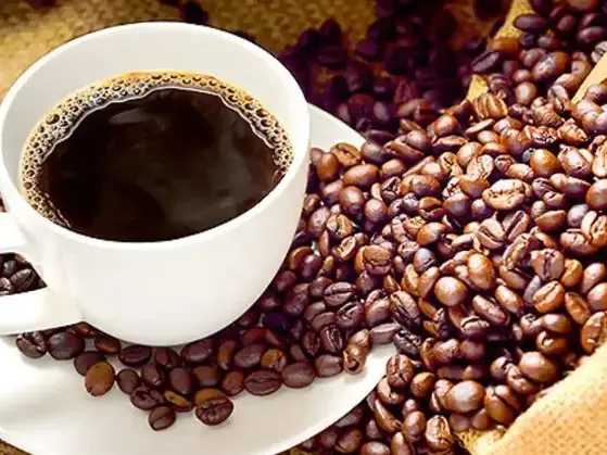 Coffee Processing Hub