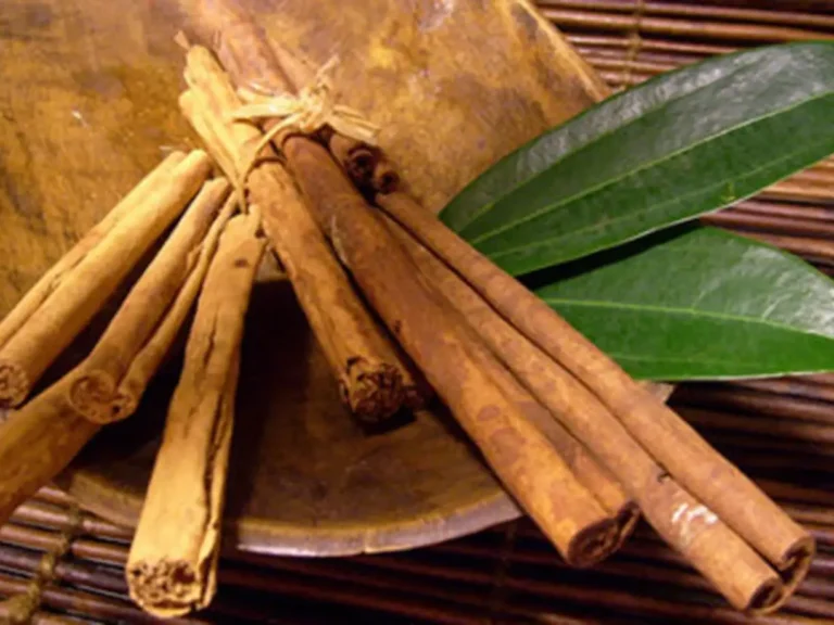 Ceylon Cinnamon