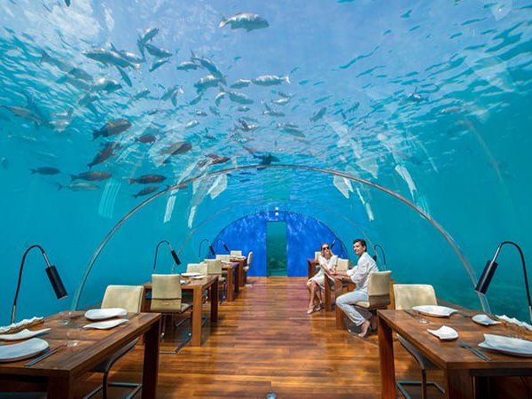 Floating Forests & Reef Resorts