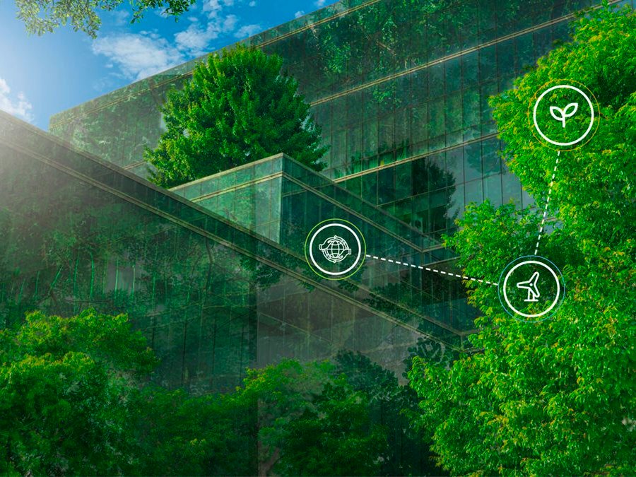 Sustainability & Wellness