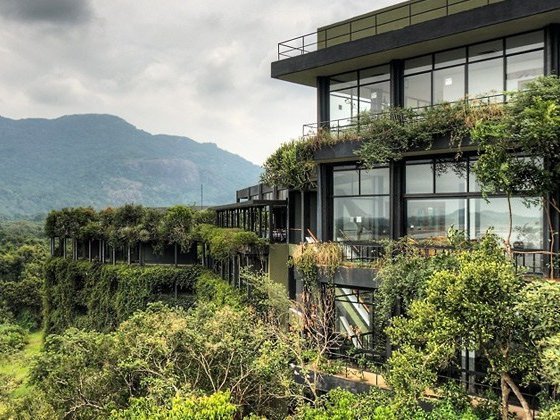 Vertical Forest Retreats Sri Lanka