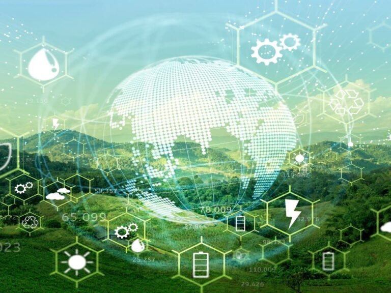 Digital Innovation in Sustainable Wellness