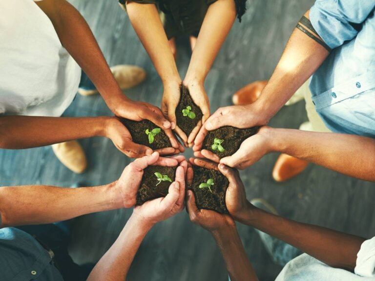 Sustainable Wellness Tourism