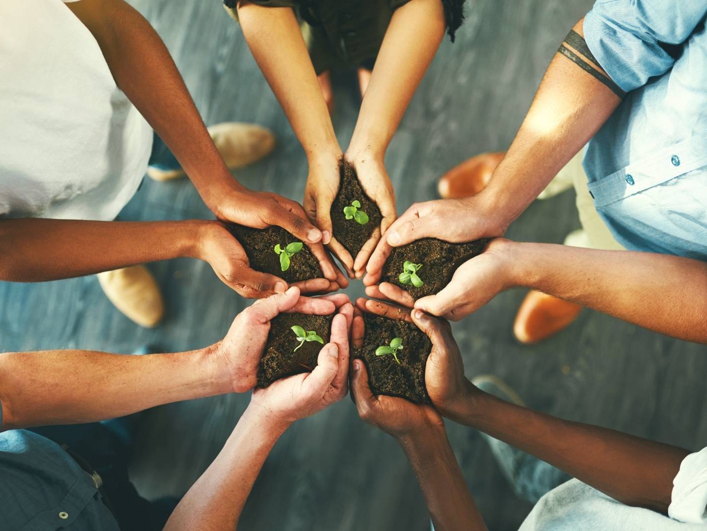 Sustainable Wellness Tourism