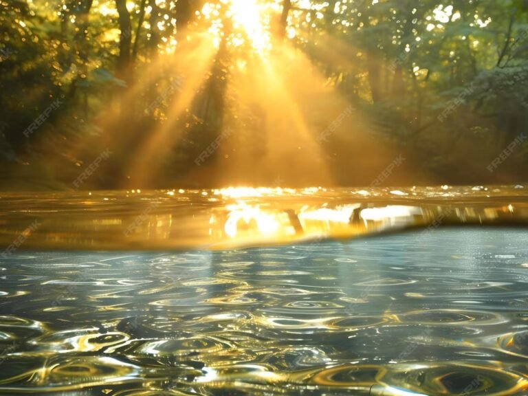 A Sustainable Blueprint