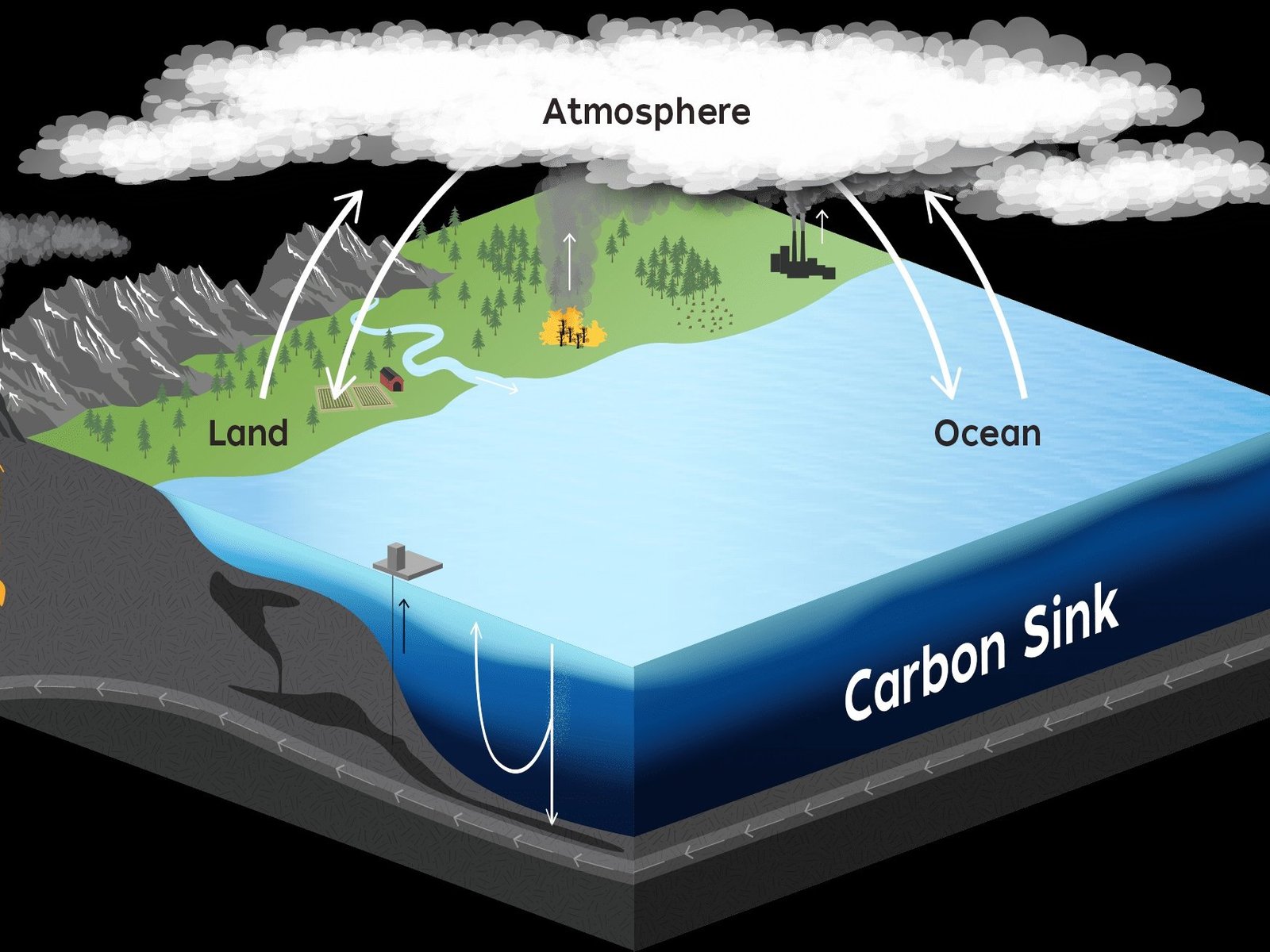 The Silent Carbon Sink