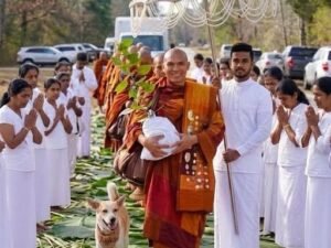 From Pilgrimage to Global Movement