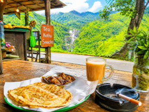 Authentic Sri Lankan Tourism Experience